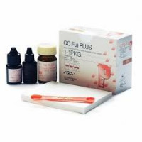 Fuji PLUS (Фуджи Плюс.GC)